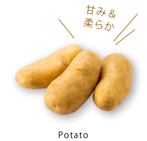 Potato